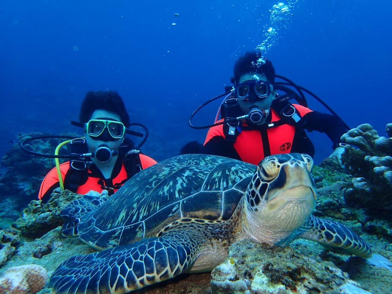 Qing Feng Diving B&B Lu-tao Exteriér fotografie